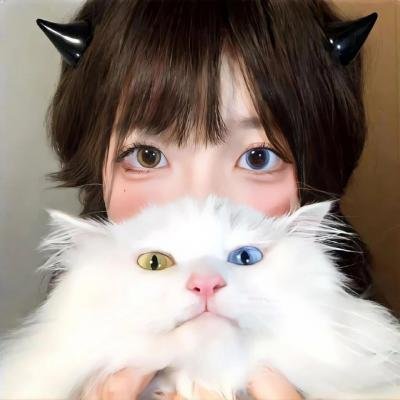 探灵档案